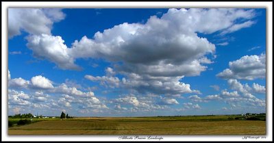 Alberta Prairie Landscape!