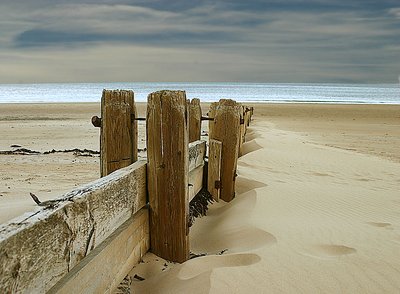 the groins at Alnmouth in Northumberland