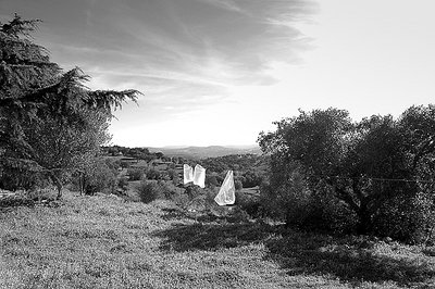 Plastic bags with landscape