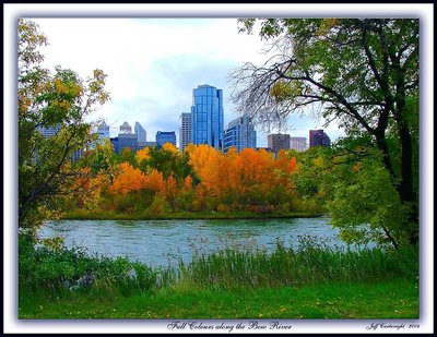 Fall Colours along the Bow River.