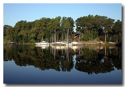 Severn River Vista