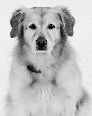 Shayna In The Snow