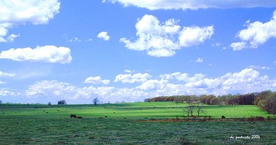 ~ Wild Blue Yonder ~