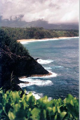 hawaii coastline Kauai