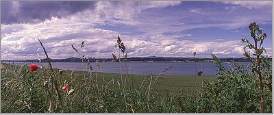 Dundee  From Tayport
