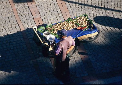 Turkish  Street  Vendor