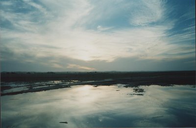 Siwa at SunSet