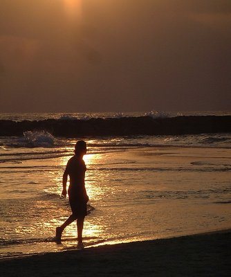 Lonely at sunset