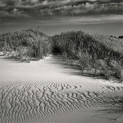 wind@dunes