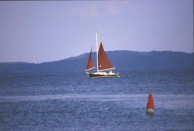 Sailing the Chesapeake