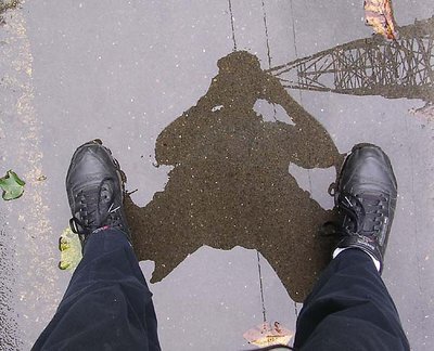 reflection in a puddle