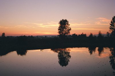 Pitt Meadows Sunset