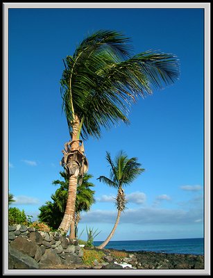 Lanzarote island 2