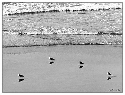 On the shore