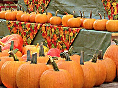 Farmer's Market Pumpkins