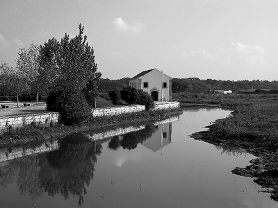 Tidemill 4