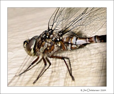 Macro -Drag