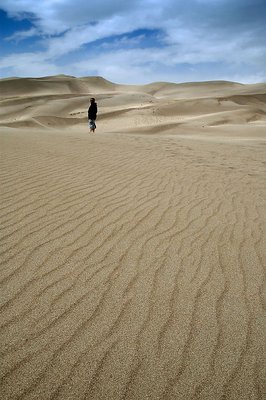 Sand Walker