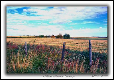 Alberta Autumn Landscape
