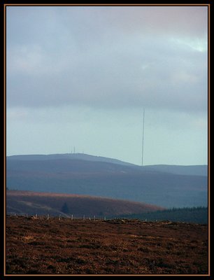 Mast