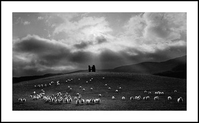 Ruin With Sheep