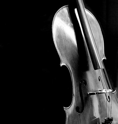 Violoncello