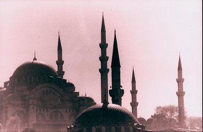 mosques