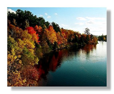 Fall colors