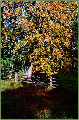 Glenisla in Autumn