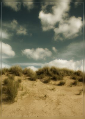 Dune-skies
