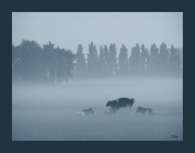 Cowgirls in the mist