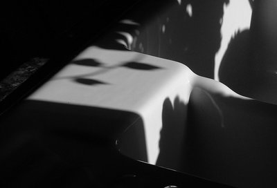 The Sink - II
