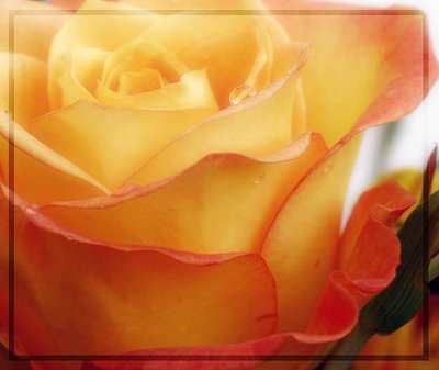~sense of peace~