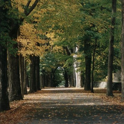 Flirting with Autumn