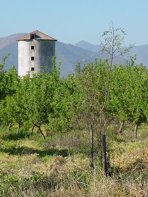 Silo II Primavera