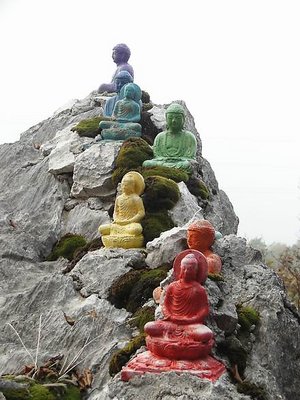 BUDDHA MULTICOLOR