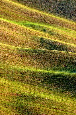 Tuscany Earth Abstract