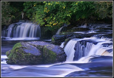 Autumn at Upper Aysgarth