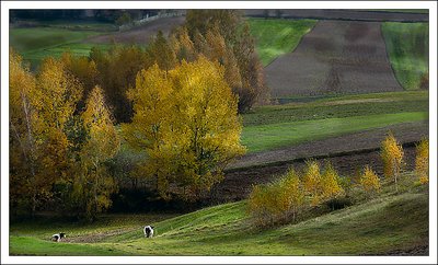 Autumn in Poland