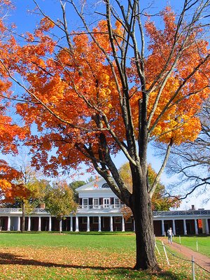 Autumn on "The Lawn"