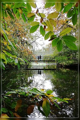 Round the pond 