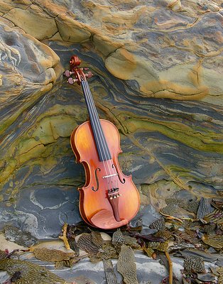 Duet   Violin and Nature