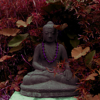 Buddah in a garden