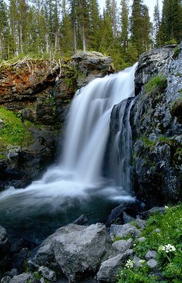 Moose Falls II