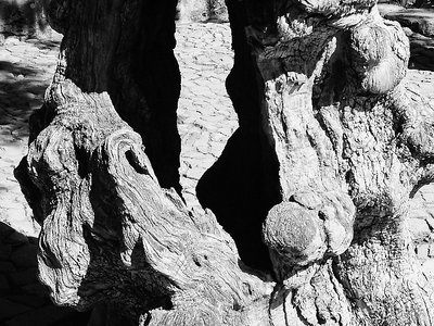 texture