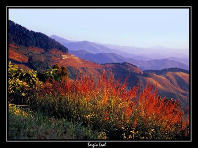 Up on the mountains