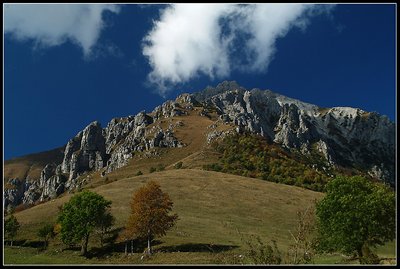 Autumn landscape