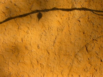 Golden Wall 2