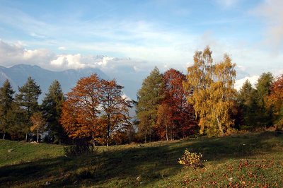 Autunno in montagna