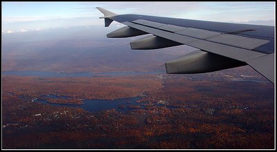 Autumn colors from above